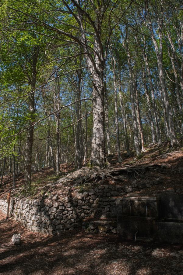 Albergo Parco Della Maiella Sant'Eufemia a Maiella Eksteriør bilde